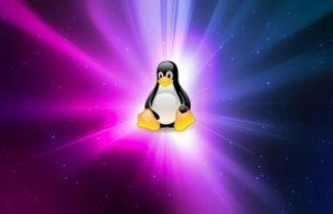 Linux中一键LAMP安装脚本