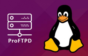 Linux中安装ProFTPD具体方法
