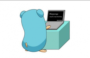 详解Go中JSON处理