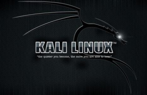 kali linux安装指南