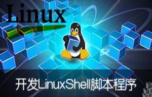 详解shell注释