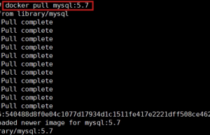Docker V19.03.1 中部署 zabbix 4.2.5