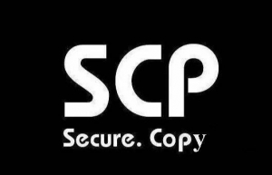 详解scp命令使用实例