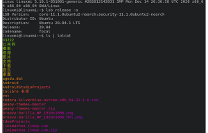 Linux Mint 20下安装Alacritty