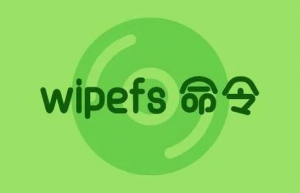 使用wipefs擦除文件系统的签名