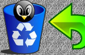 Linux系统恢复被删除文件具体方法