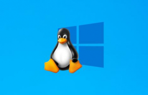 Linux中挂在windows共享
