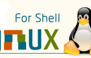 Linux shell的强大之处