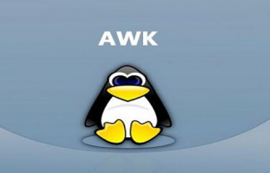 AWK命令的特殊使用方法