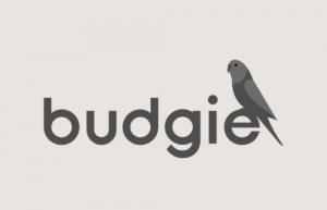 Ubuntu 上安装 Budgie具体方法