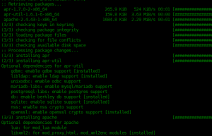 Arch Linux Pacman软件包管理器使用方法