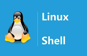 详解Linux shell注意事项