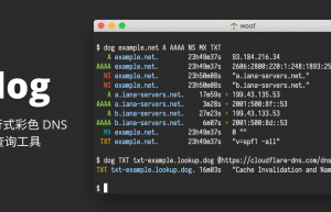 Linux系统下安装DNS查询命令行工具Dog