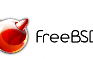 FreeBSD中安装VMware Tools