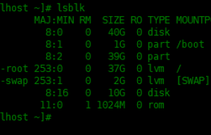 Linux中通过lsblk命令列出所有可用块设备