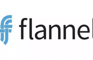 搭建Flannel容器集群子网