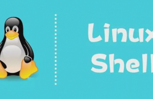 详解Shell until命令的用法