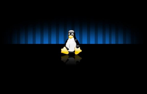 Linux常用命令shutdown使用实例