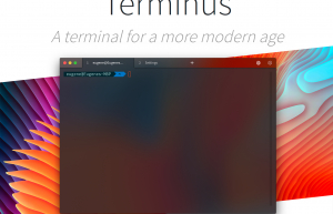 Deepin Linux安装Terminus终端具体步骤