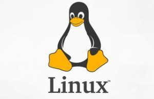 Linux下结束进程常用方法