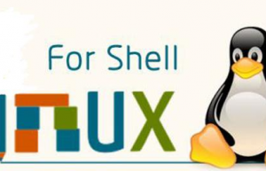 Linux下安装并使用ClusterShell