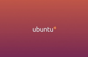 Ubuntu安装 WinUSB制作工具