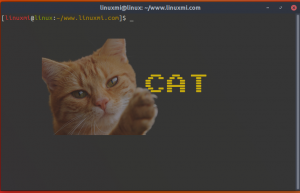巧用Linux cat命令