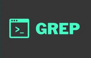 Linux grep基础入门