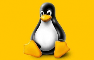 Linux su命令使用实例