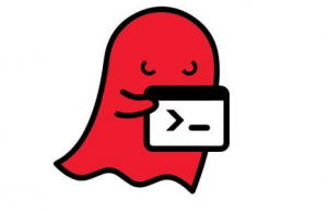 Linux下使用Flashrom刷写 BIOS