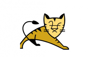 Linux下查看tomcat端口