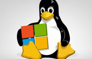 Linux more和less命令