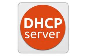 Linux下使用dhcp自动获取IP