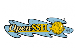 Linux下升级openssh