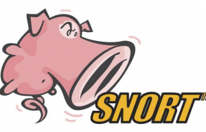 Linux下安装入侵检测系统—Snort