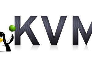 详解Linux虚拟化技术KVM