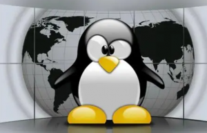 Linux中查看服务的端口号