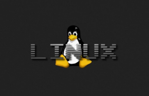 Linux中查看日志文件具体方法