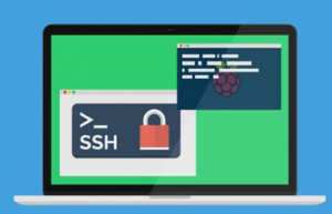 Linux中查看ssh版本