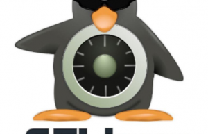 简单介绍一下SELinux