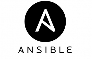 使用Ansible 来交付 Vagrant 实例