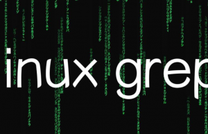 快速上手Linux系统中grep命令