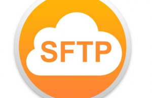 Linux中使用sftp传输文件/文件夹