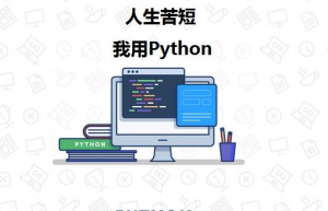 Python构建API流行框架