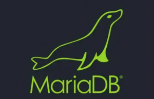 Docker构建Mariadb具体步骤