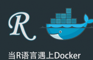 在Docker中使用R