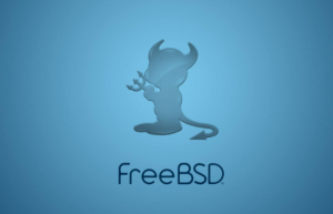 FreeBSD 中部署FTP服务