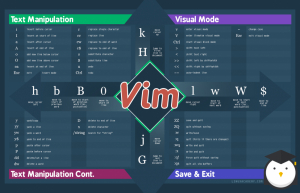 详解Vim文本选择操作和标志
