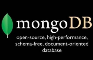 上手MongoDB只需要5步