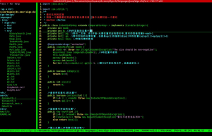 关于Debian 中的 vim Bug解决方案
